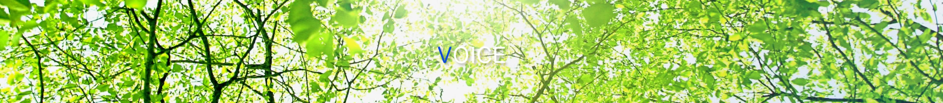 VOICE