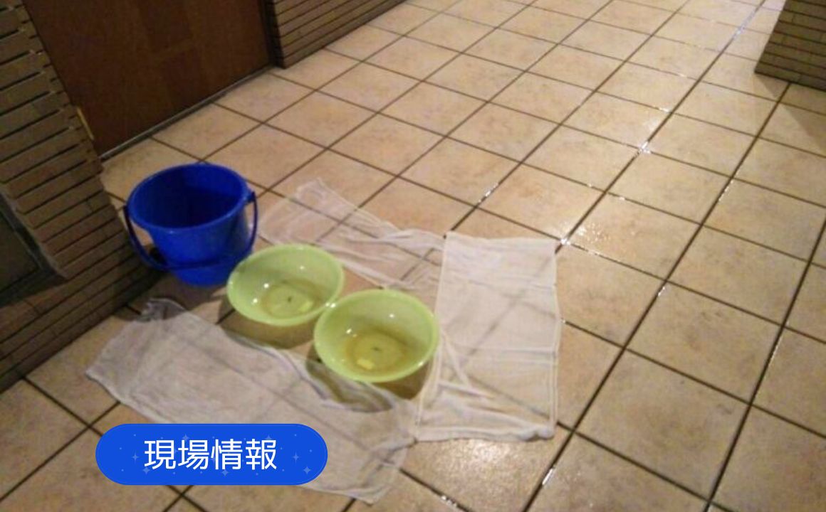現場情報|金沢市で漏水調査を行いました。マンション1階エントランスの天井から漏水!