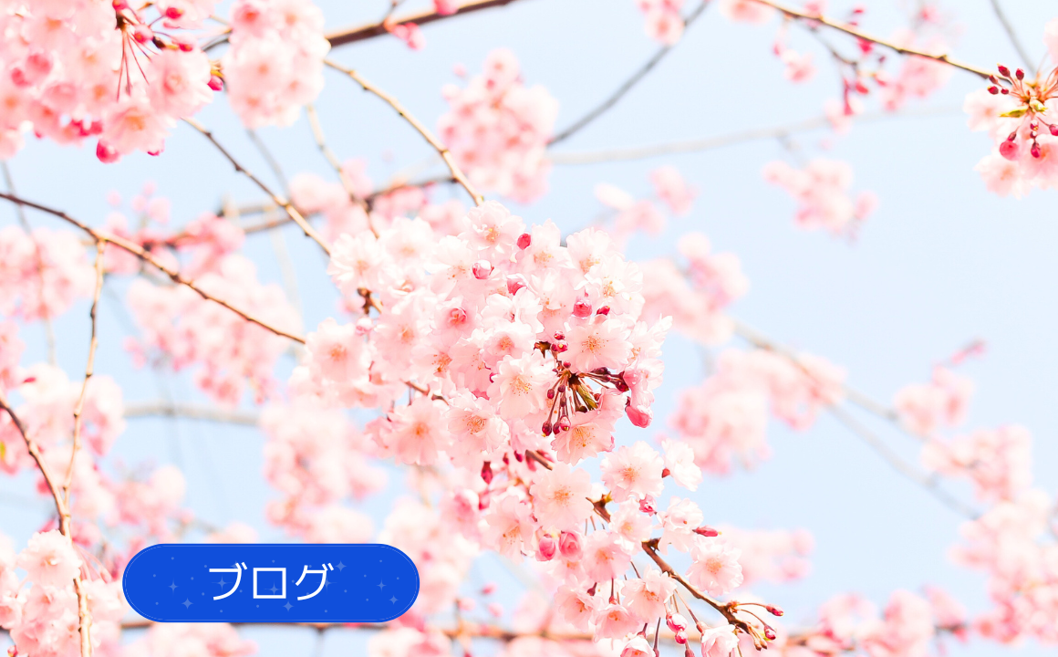 【春の訪れ】お花見が楽しみですね！