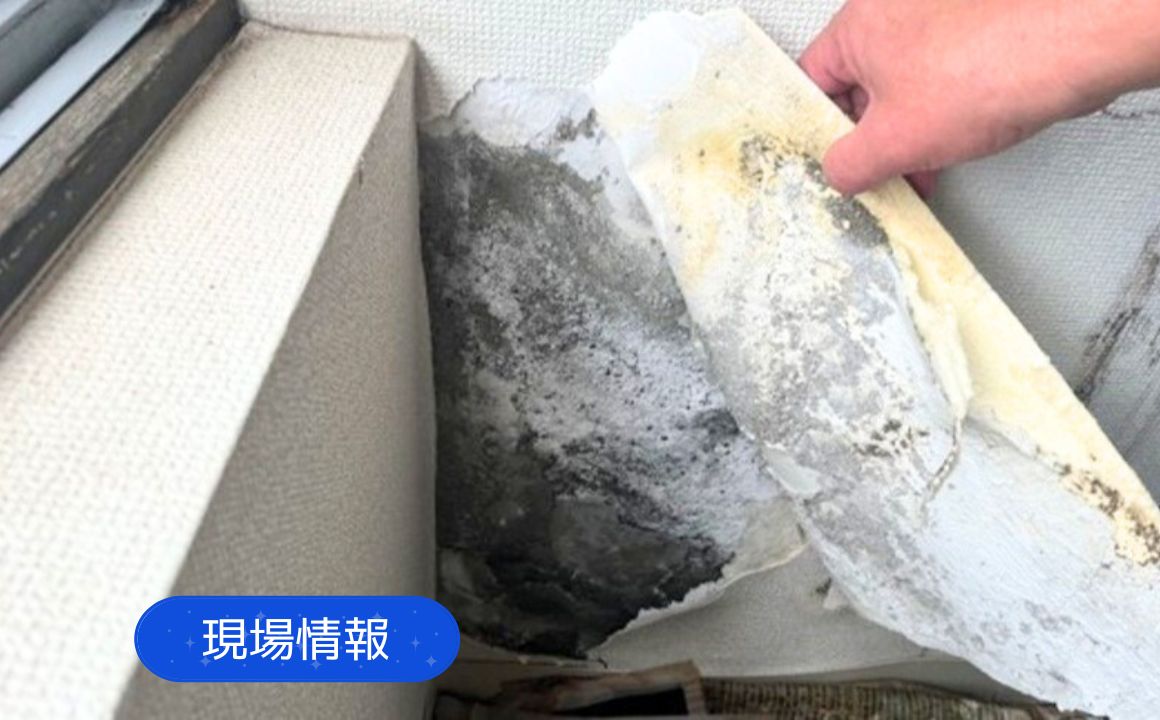 現場情報｜金沢市で漏水調査を行いました。室内壁に水漏れ被害！原因は屋上防水の劣化によるもの