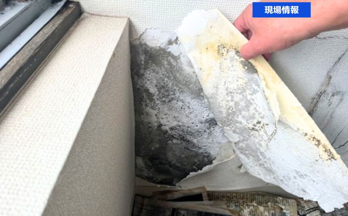 室内壁に水漏れ被害！原因は屋上防水の劣化によるものでした