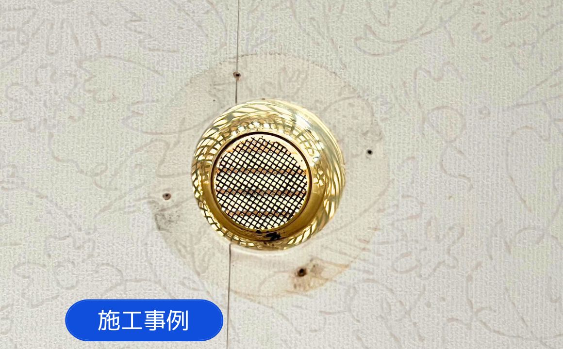 金沢市　戸建て　コウモリ駆除｜施工事例をUPしました