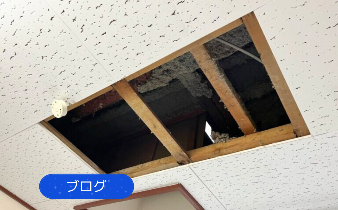 【ブログ】金沢市でジプトン補修貼り替えを行いました
