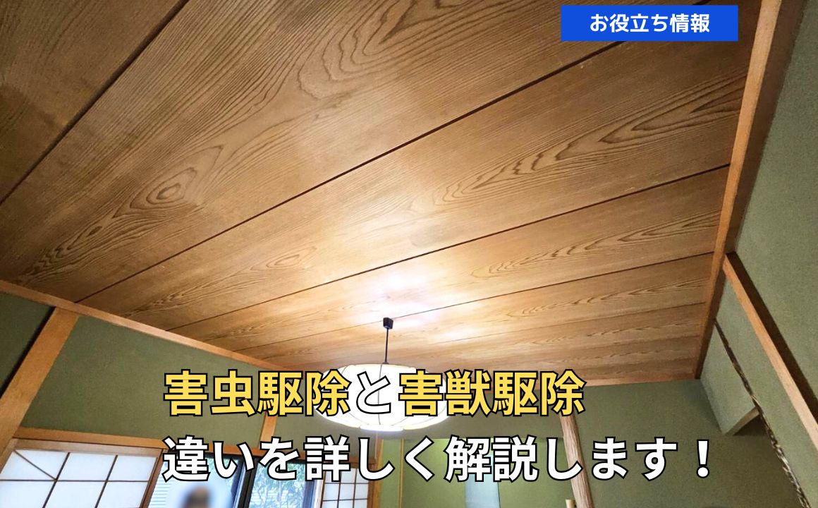 害虫駆除と害獣駆除の違いを詳しく解説します！