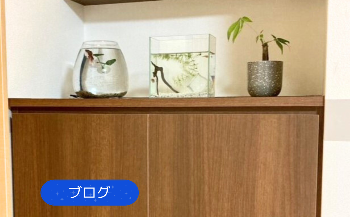 【ブログ】家具取り付け工事を行いました！お客様の愛猫専用の通り道も作りました！