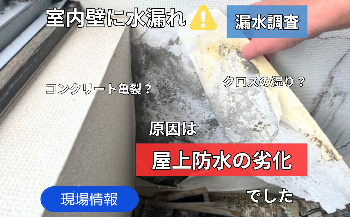 現場情報|室内壁に水漏れ被害!原因は屋上防水の劣化によるものでした。