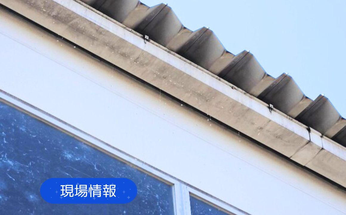 現場情報|白山市で雨樋調査を行いました。詰まりや劣化による排水不良にご注意を!