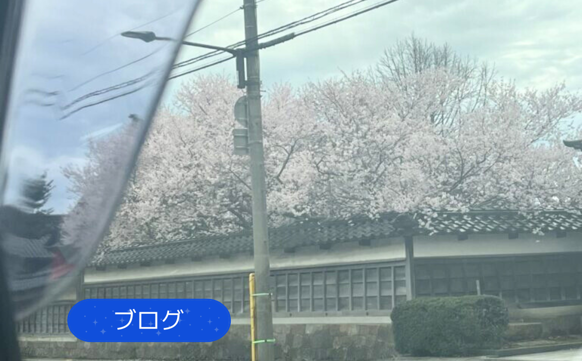 【ブログ】金沢市で綺麗な桜が咲いていました