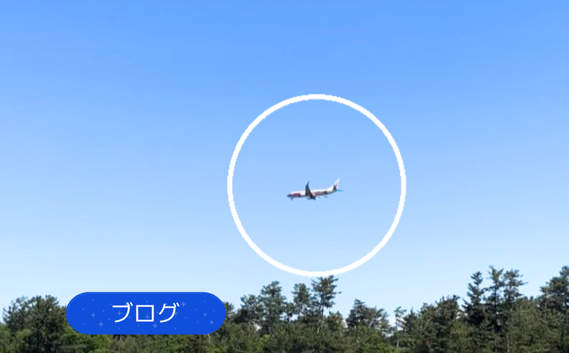 【スゴイ!】近くに飛行機が見えました!迫力がスゴイ