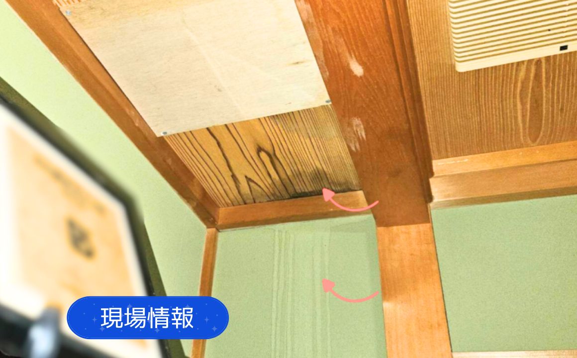 現場情報| 金沢市で害獣による被害調査を行いました。屋根裏や床下に注意!